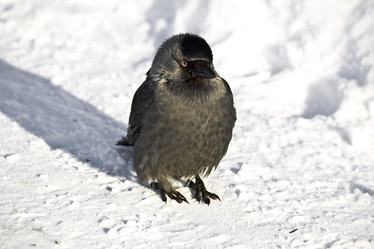 Similar image 1774364