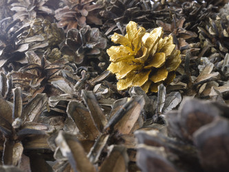 Similar image 1774368