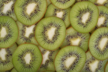 Similar image 1774369