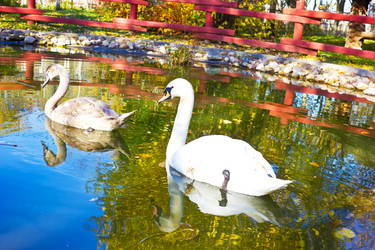 Similar image 1774500