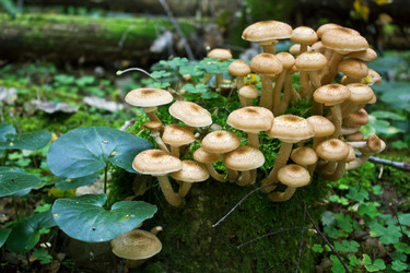 Similar image 1774508