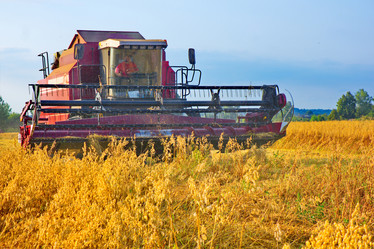 Similar image 1774531