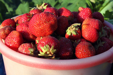 Similar image 1774533