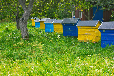 Similar image 1774536