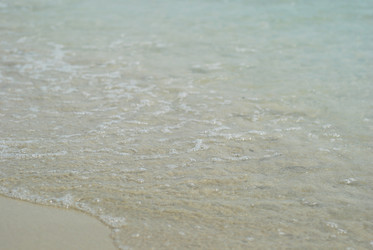 Similar image 1774646