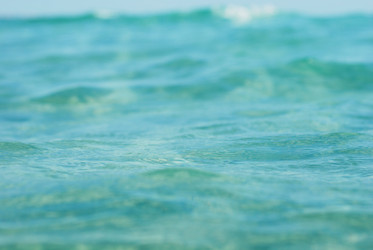 Similar image 1774648