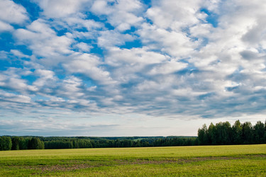 Similar image 1774718