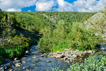 Similar image 1774721