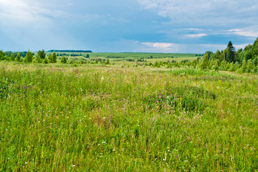 Similar image 1774726