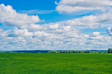 Similar image 1774728