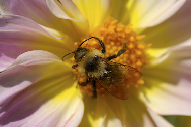 Similar image 1774733