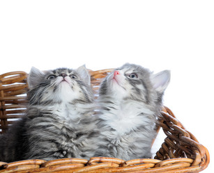 Similar image 1774738