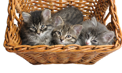 Similar image 1774744