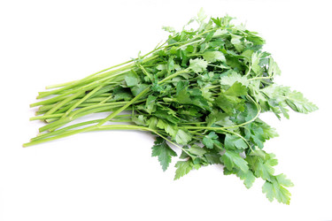 Similar image 1774752