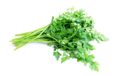 Similar image 1774753