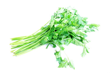 Similar image 1774755