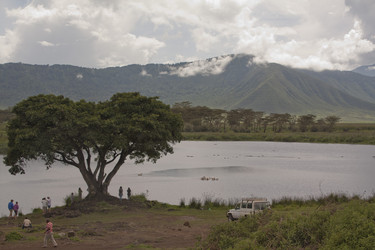 Similar image 1774780