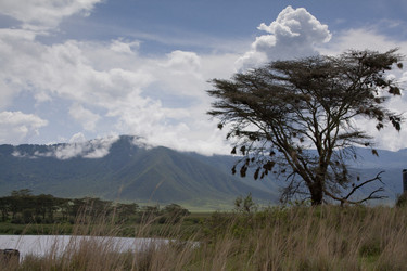 Similar image 1774782