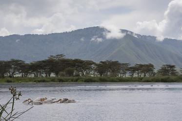 Similar image 1774784