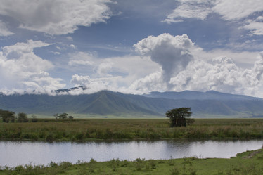 Similar image 1774785