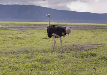 Similar image 1774790