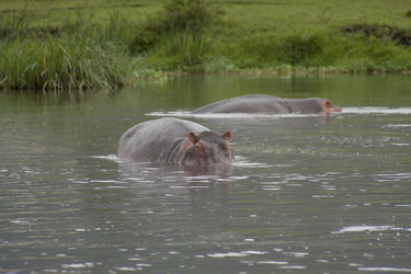 Similar image 1774792