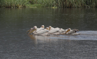 Similar image 1774794