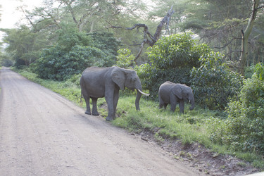 Similar image 1774796