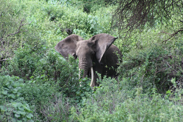 Similar image 1774798