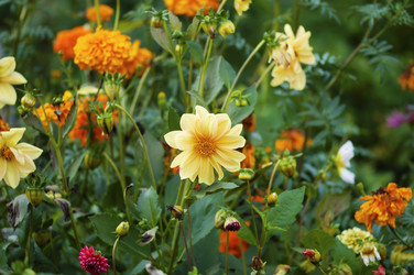 Similar image 1774801