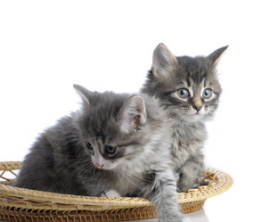 Similar image 1774804