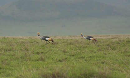 Similar image 1774810