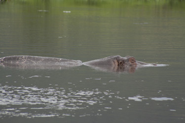 Similar image 1774814