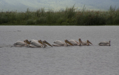 Similar image 1774818