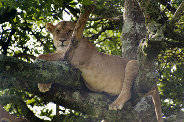 Similar image 1774821