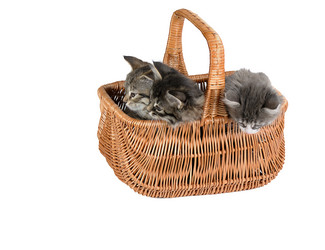 Similar image 1774823