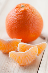 Similar image 1774900