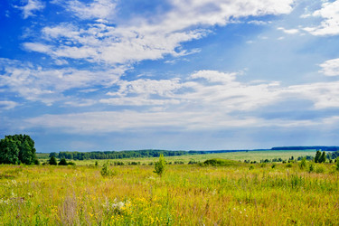 Similar image 1774931