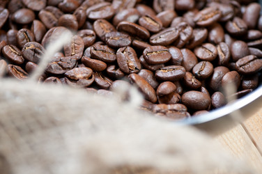 Similar image 1775038