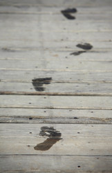 Similar image 1775141