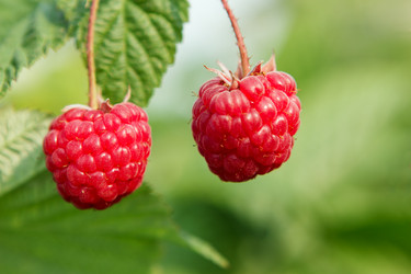 Similar image 1775153