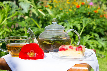 Similar image 1775164