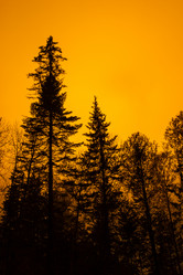 Similar image 1775166