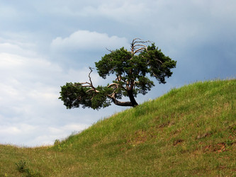 Similar image 1775220