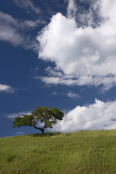 Similar image 1775222