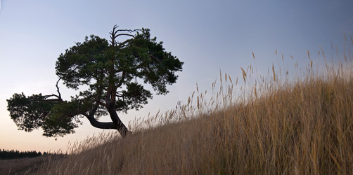 Similar image 1775227