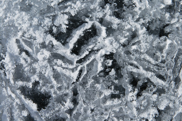 Similar image 1775241