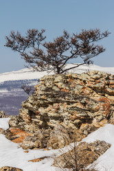 Similar image 1775243