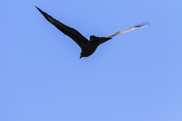 Similar image 1775252