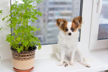 Similar image 1775257